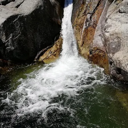 Vakantieloft Aan De Rivier
